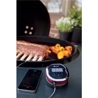 weber igrill 3 probes