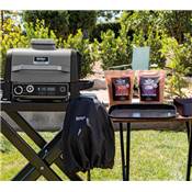 Crousti basket for Ninja Woodfire electric Grill/smoker