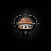 Napoleon Charcoal Ring & Diffusor Plate for PRO22K
